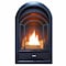 Procom Dual Fuel Ventless Gas Fireplace Insert - Arched Door, 15,000 B PCS150T - alternate 1
